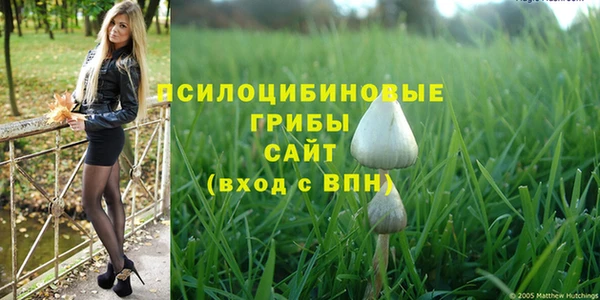 винт Абаза