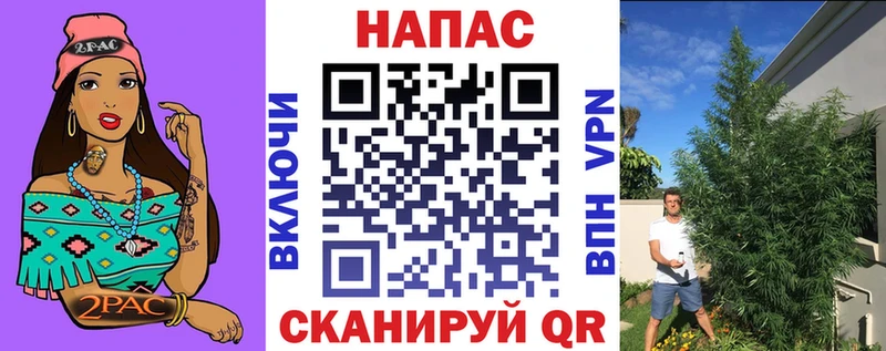 Канабис семена  купить закладку  omg как войти  Псков 